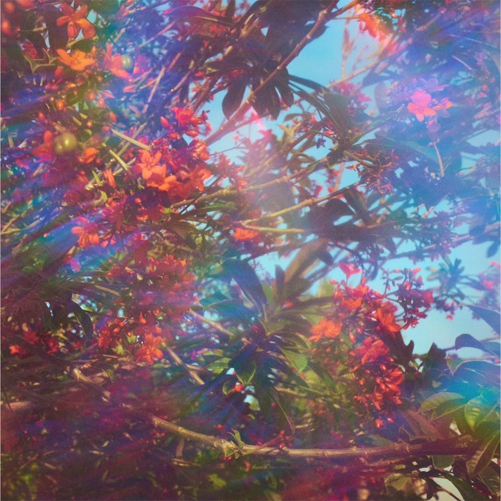 Rainbow Rituals - Constant Shapes