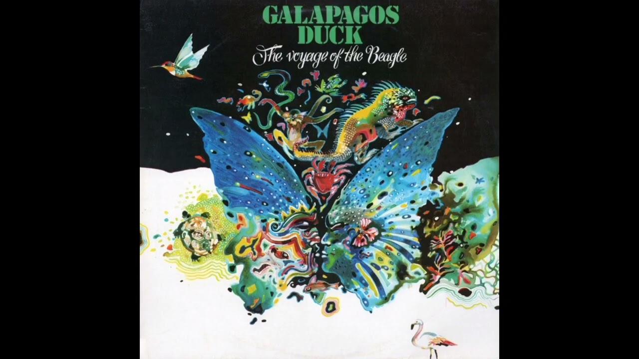 The Voyage Of The Beagle - Galapagos Duck