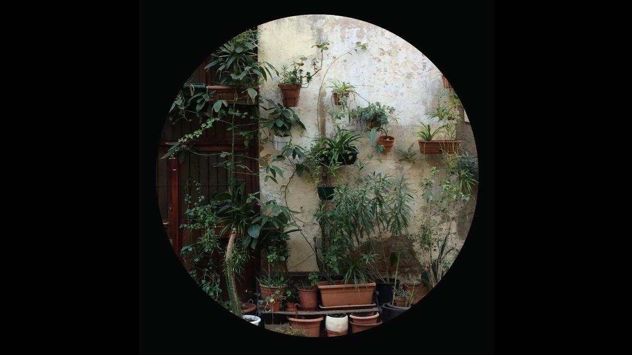 SNFLP013 - DJ Physical