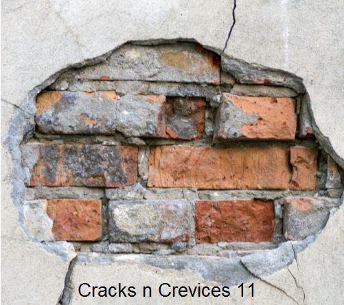 Cracks n Crevices 11 - Dusty Mush; Cramps