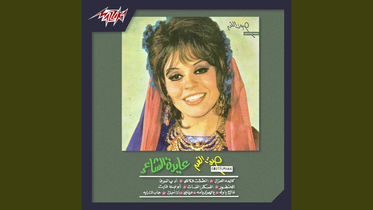  - Aida El Shaer