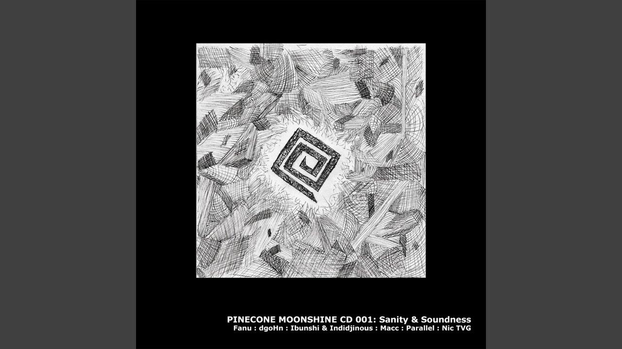 Sanity & Soundness - Nic TVG