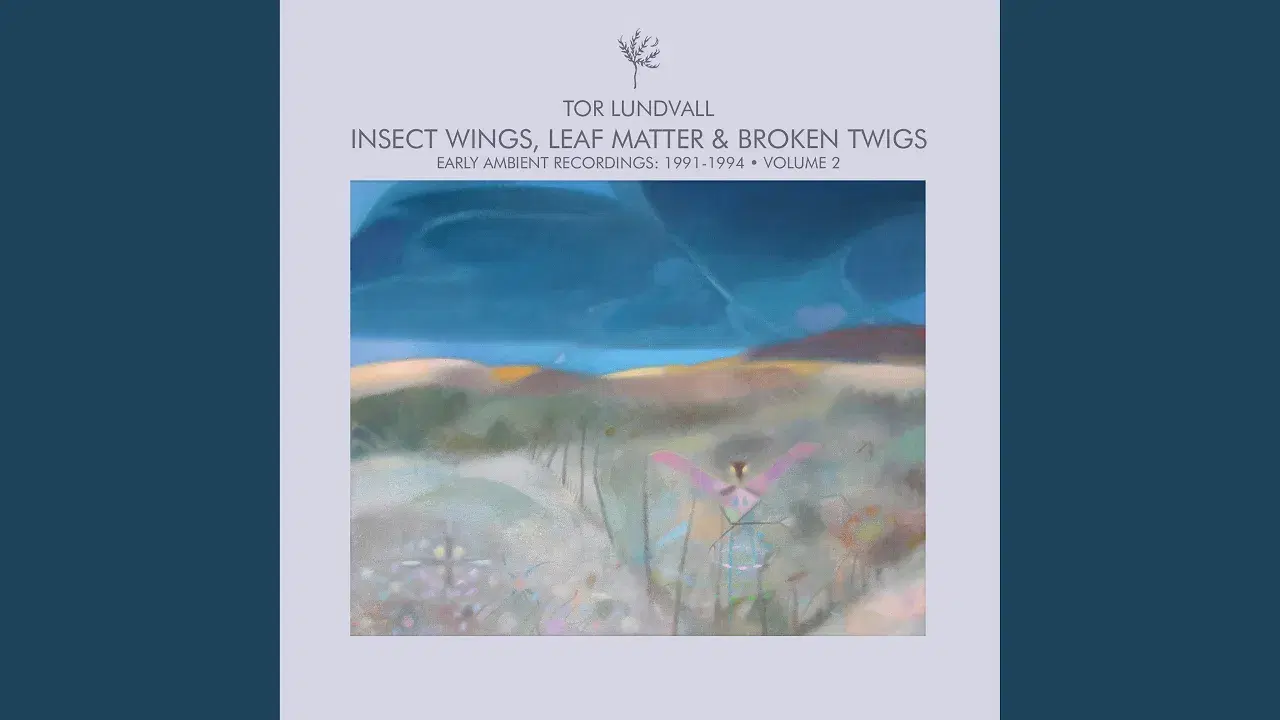 Insect Wings, Leaf Matter & Broken Twigs (Early Ambient Recordings: 1991-1994 · Volume 2) - Tor Lundvall