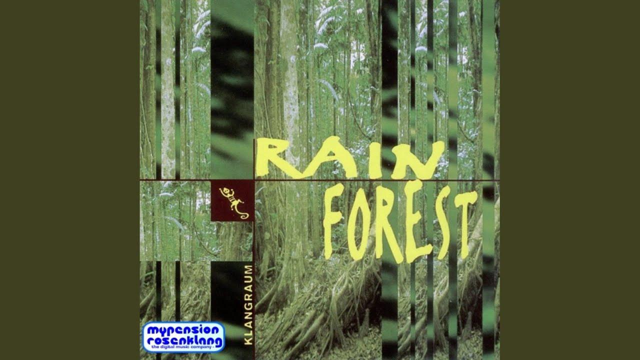 Rainforest - Music out of and for a Healthy Nature - Bernhard Hering, Martin Wester