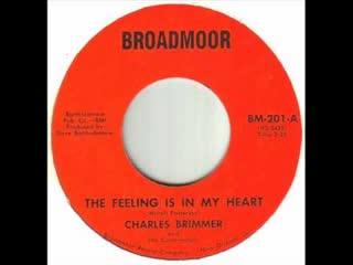 The Feeling Is In My Heart / Mr. Teardrops - Charles Brimmer