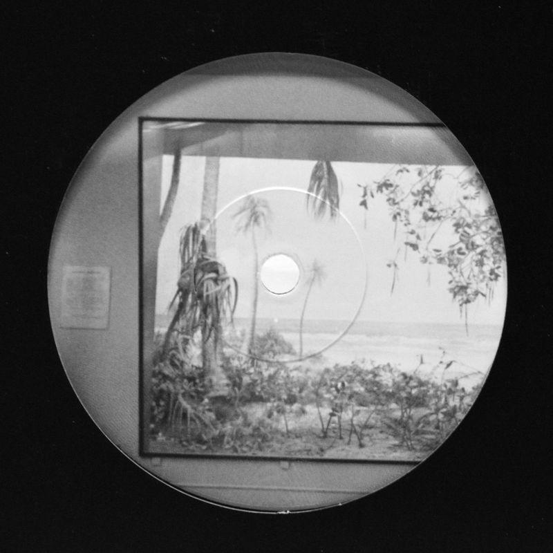 Nostalgia Por Mesozóica - Nikolaienko & Arthur Mine