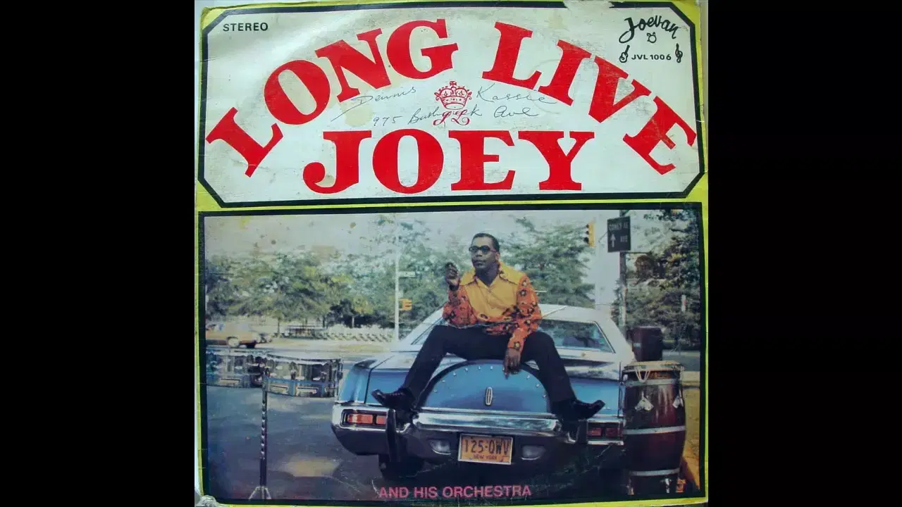 Tema Del Papelon - Joey Lewis Orchestra