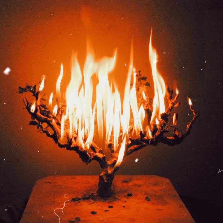 BURNING BUSH - Willyynova & JamesThe3rd