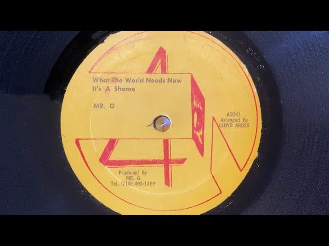 What The World Needs Now / It's A Shame - Mr.G