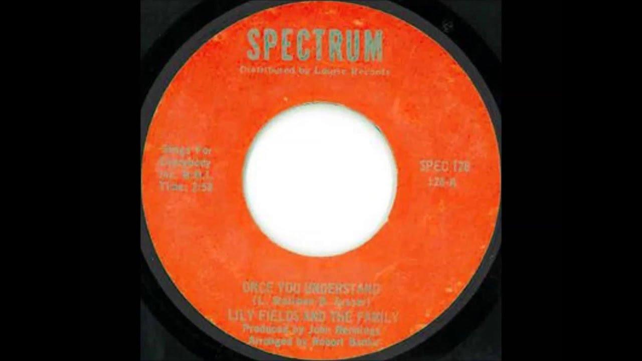 Once You Understand - Lily Fields & The Family