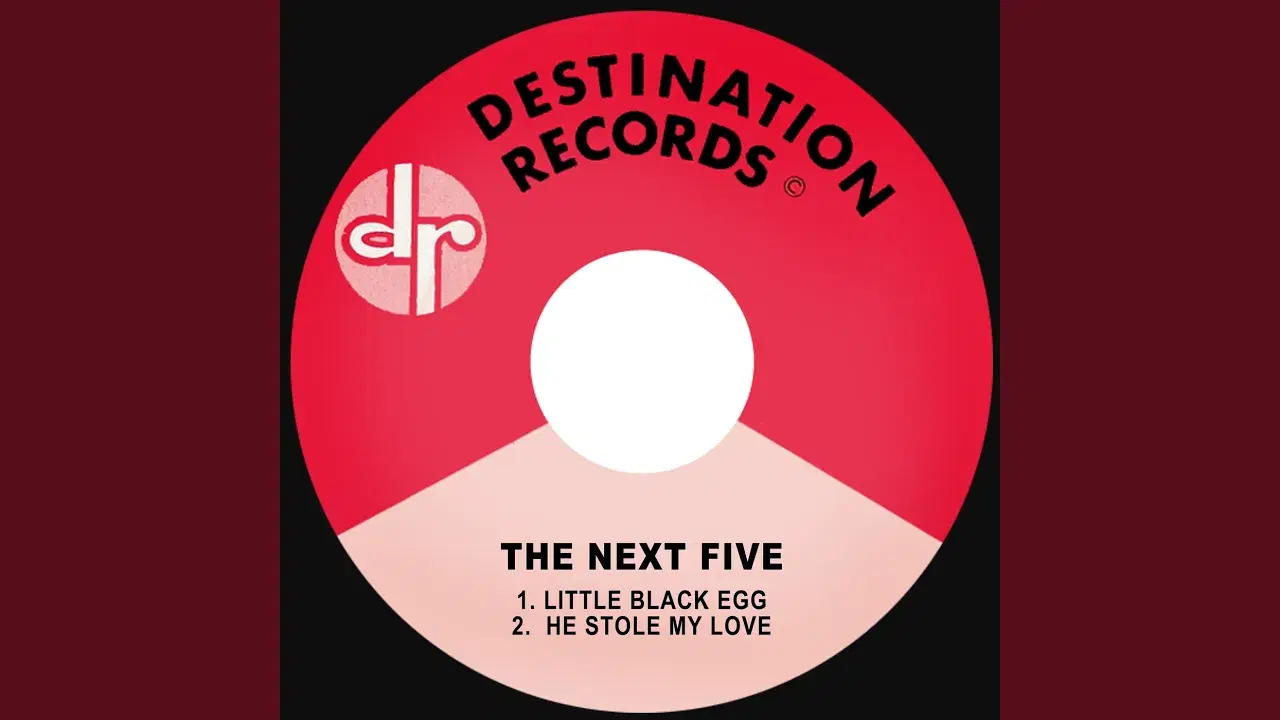 Little Black Egg / He Stole My Love - The Next Five