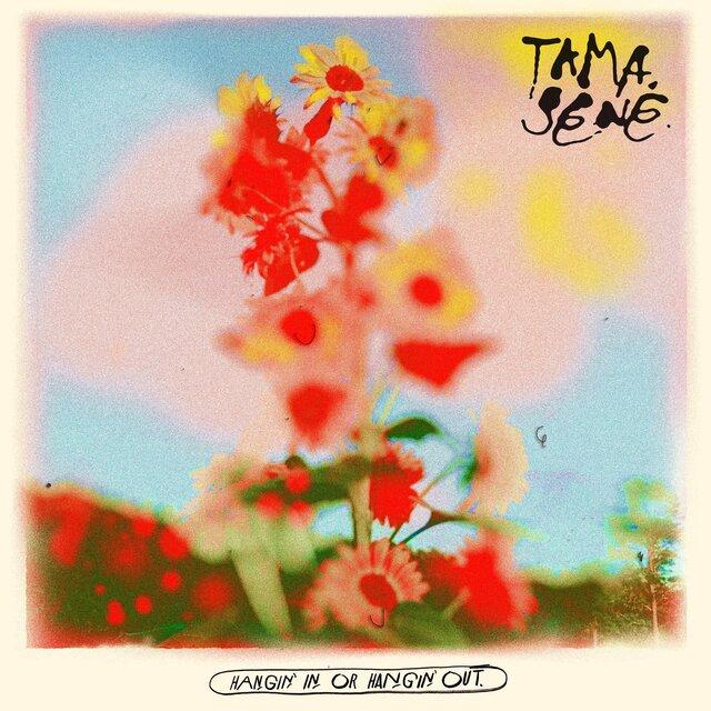 Hangin' In or Hangin' Out - Tamasene