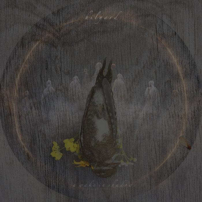 A Wake In Shadows - Hilyard