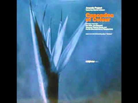 Cascades Of Colour EP - The Ananda Project