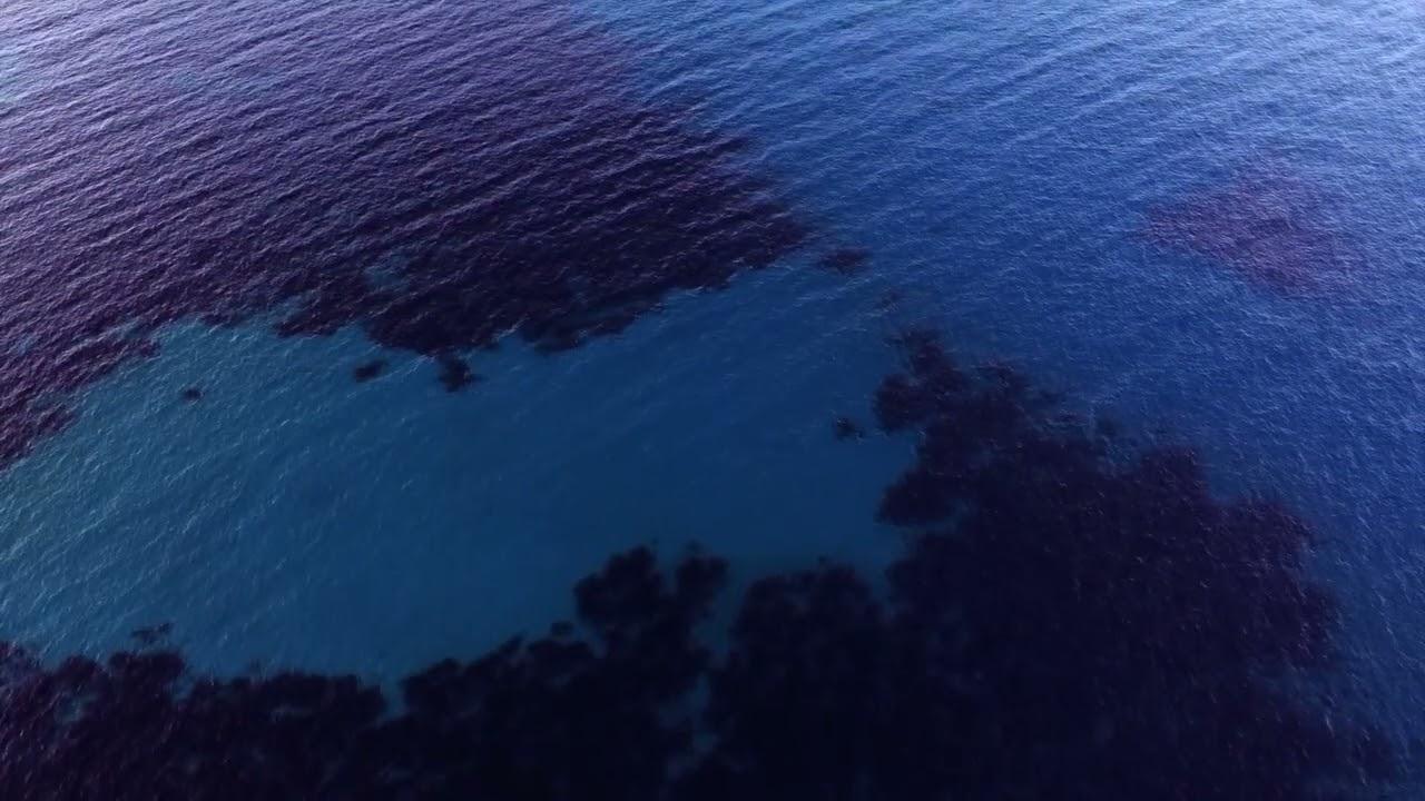 Le Grand Bleu (Cinematic Sunset Mix) - Blank & Jones, Marcus Loeber