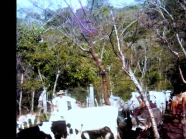  - Estrellas de Plata