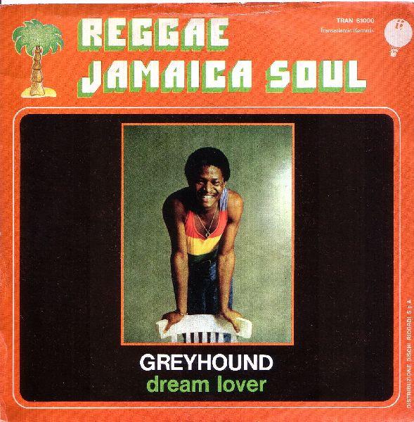 Dream Lover / Wappadusa - greyhound