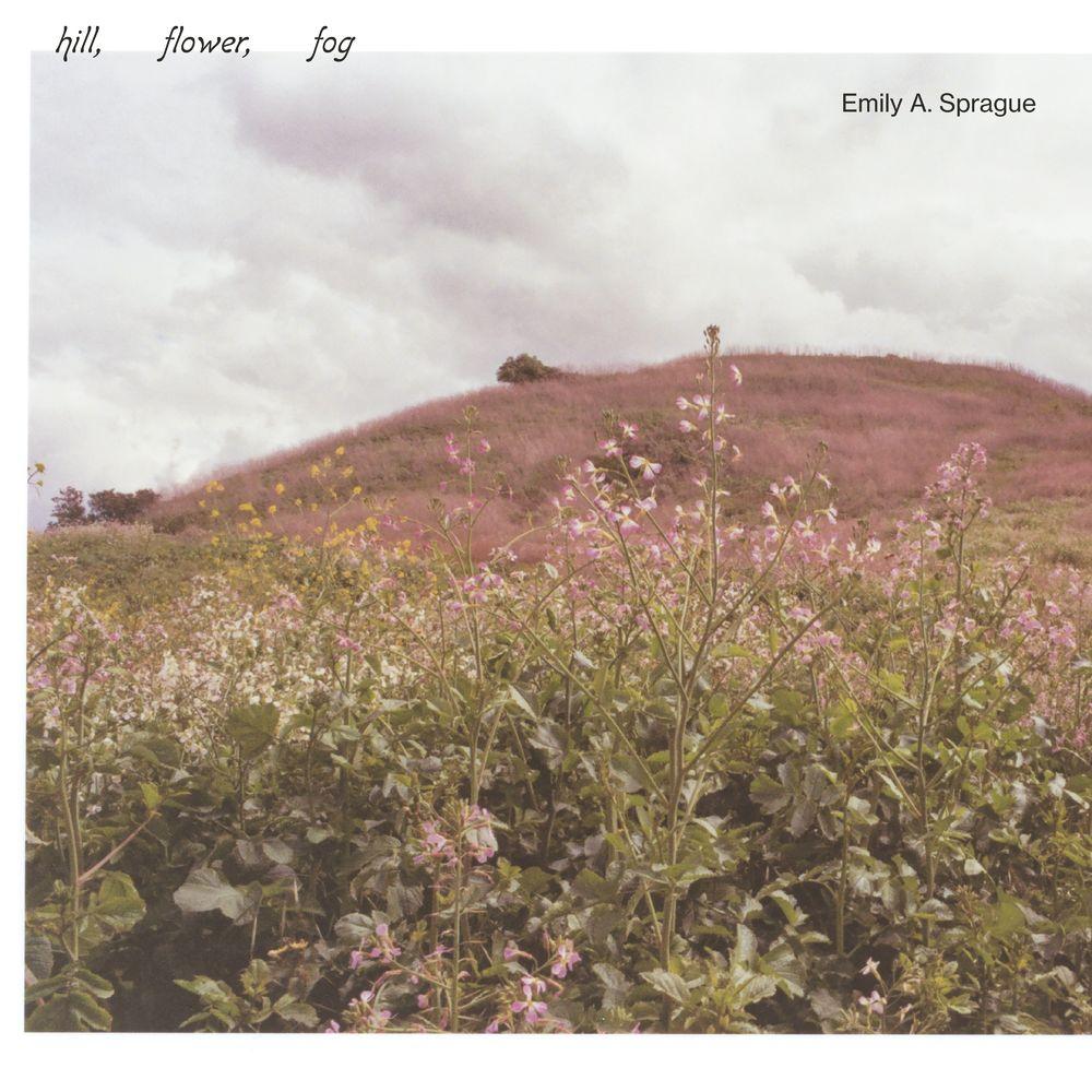Hill, Flower, Fog - Emily A. Sprague