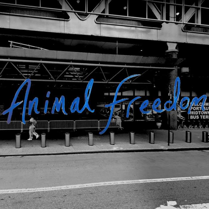 Animal Freedom - The Cradle