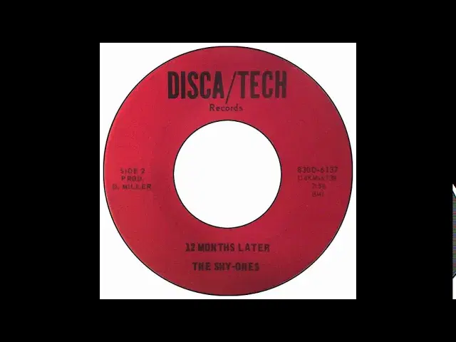 How Strong My Love Is - The Shy-Ones
