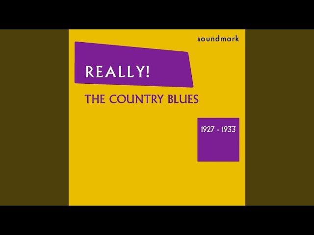 Cottonfield Blues - Garfield Akers & Mississippi Joe Callicot