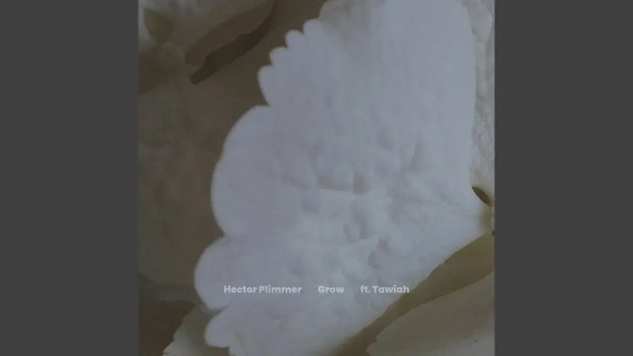 Infinity Mirrors - Hector Plimmer
