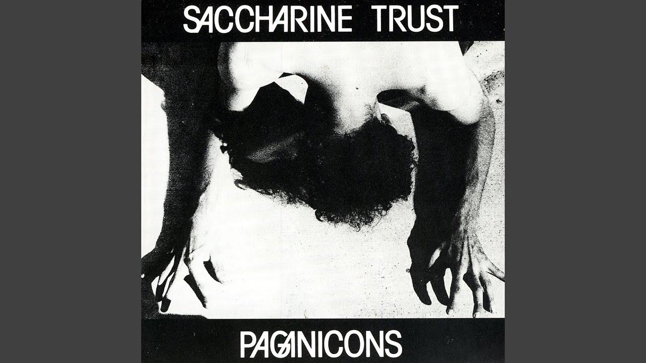 Paganicons - Saccharine Trust