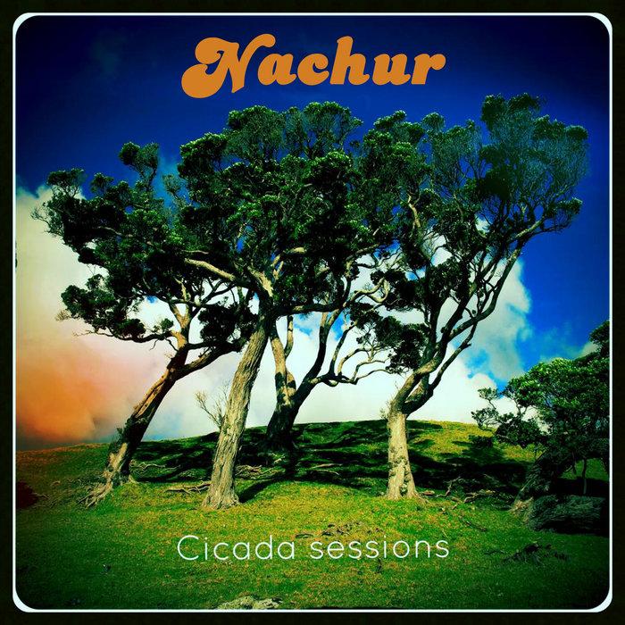 Cicada sessions - Nachur