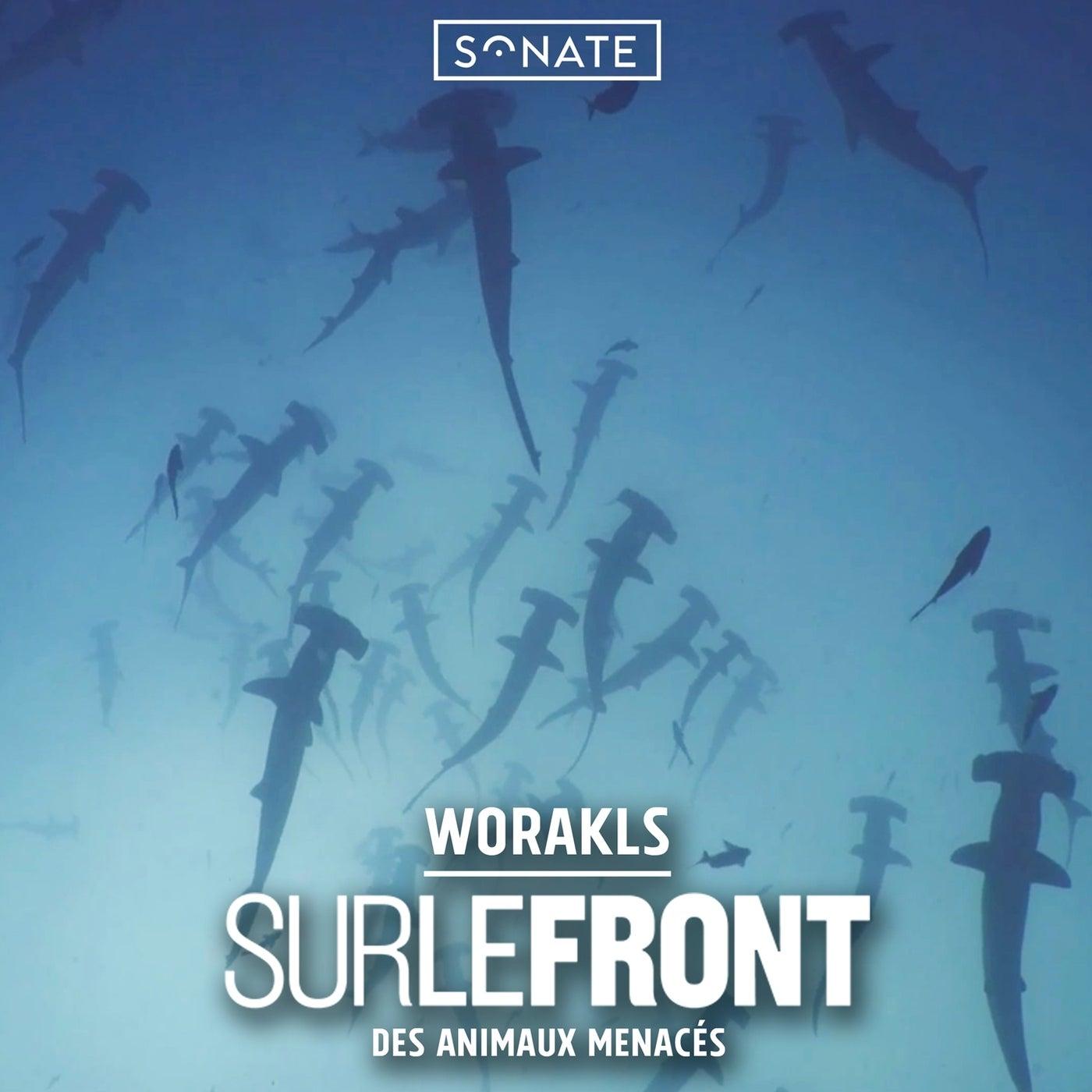 Sur le front des animaux menaces - Worakls