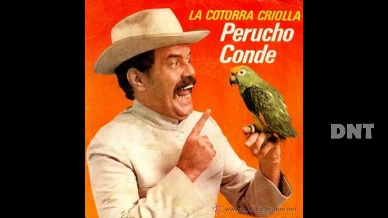  - Peruche Conde