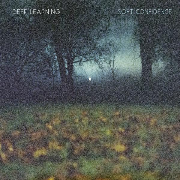 Soft Confidence - DEEP LEARNING