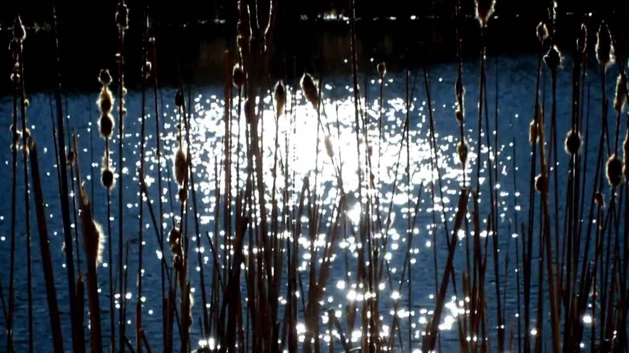 Vrioon - Alva Noto & Ryuichi Sakamoto