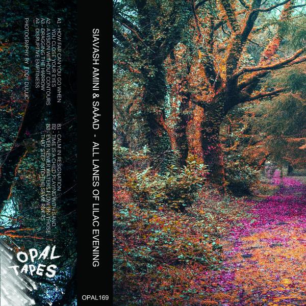 All Lanes Of Lilac Evening - Siavash Amini & Saåad