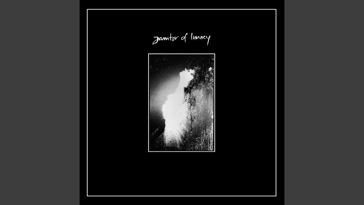 Crimes On The Dancefloor LP - Janitor Of Lanacy