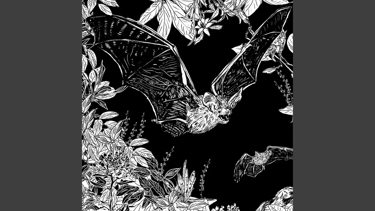 Rascabuche - Amantes del futuro y Los Murcielagos de Yucatán