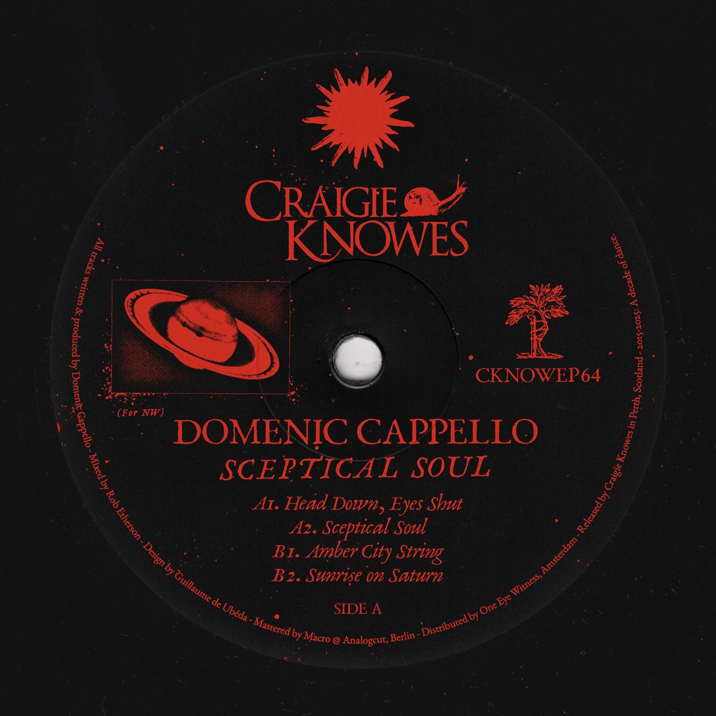 Sceptical Soul - Domenic Cappello