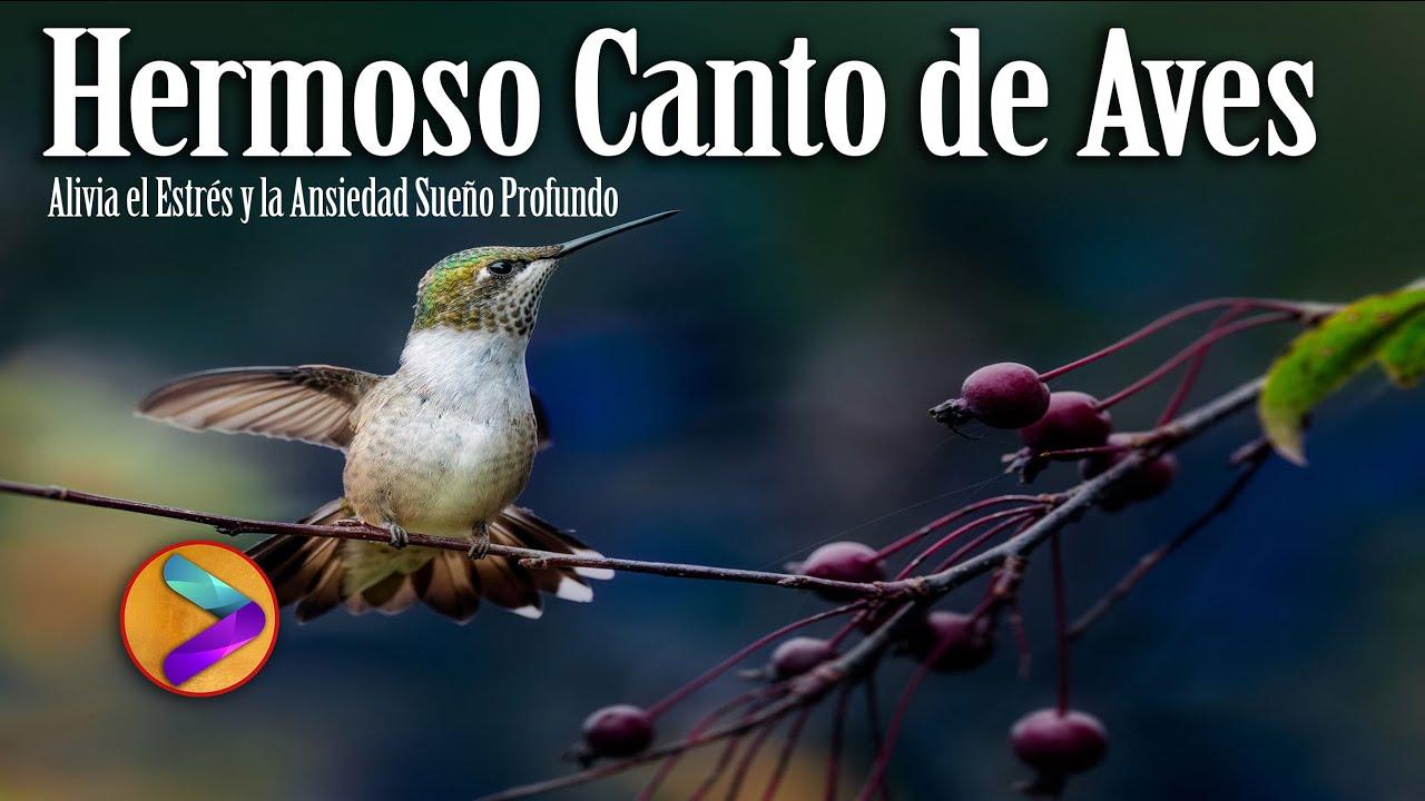 La Chevecha / Los Pajaros - Los Diferentes