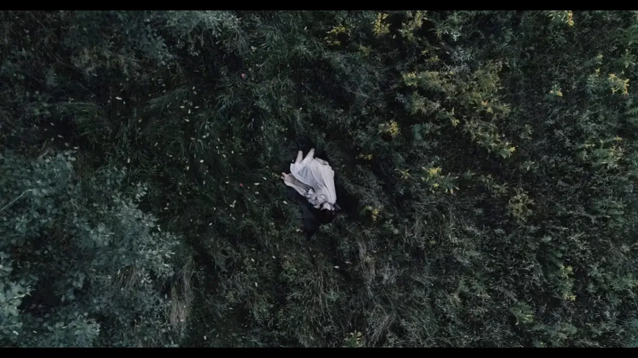 Ideas of Space - Tess Roby