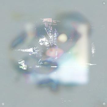 Lusidiq - Conna Haraway