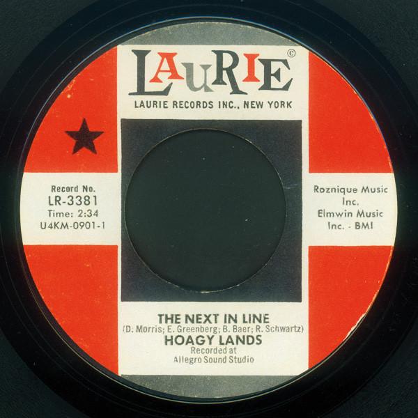The Next In Line - Hoagy Lands