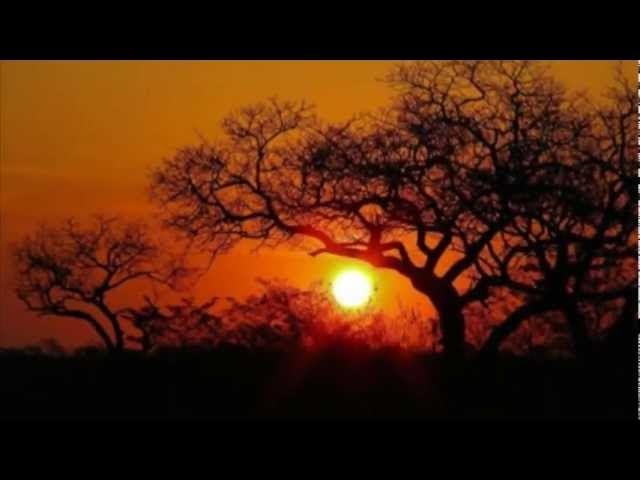 Super Love - Son d'Afrique