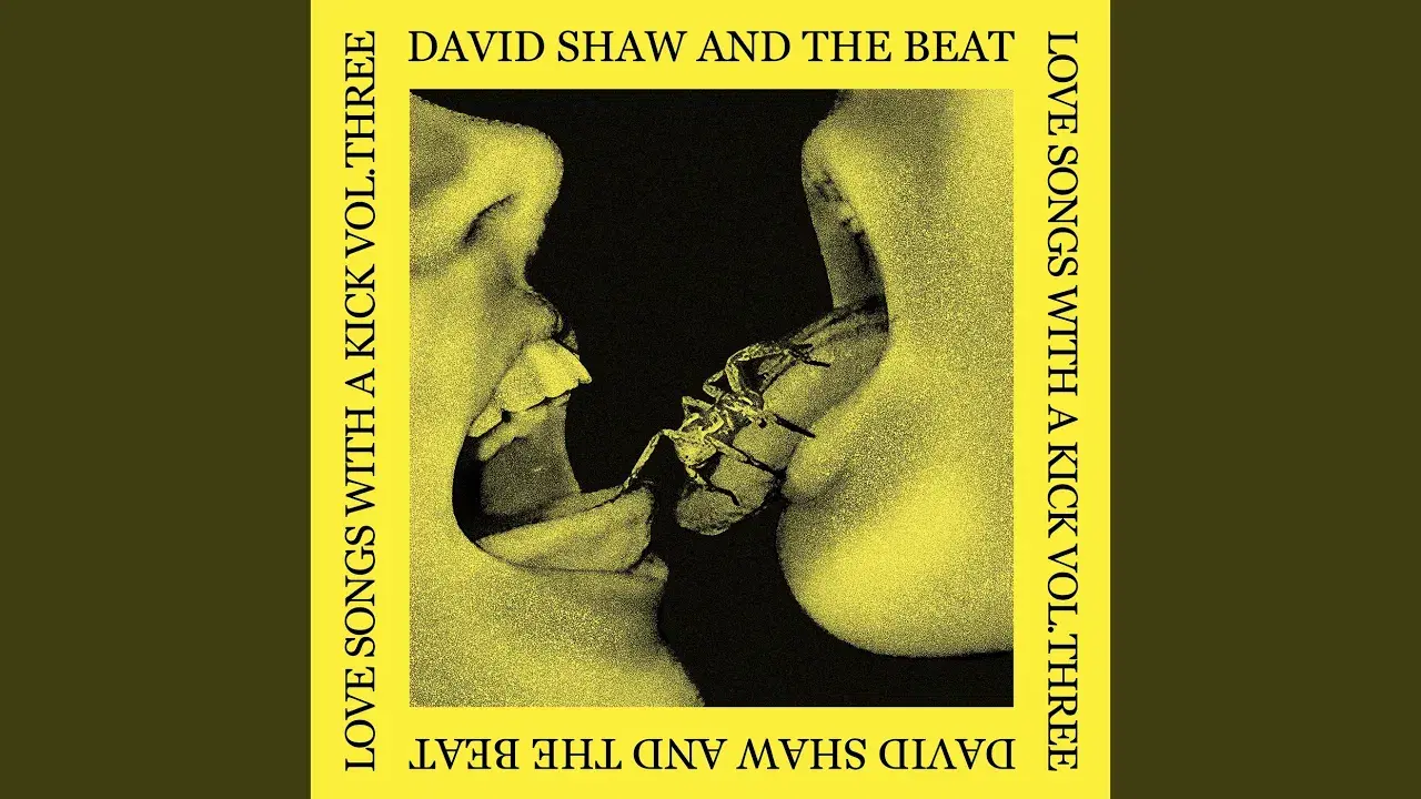 Love Songs With A Kick Vol. Three - David Shaw & The Beats