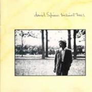 Brilliant Trees - David Sylvian