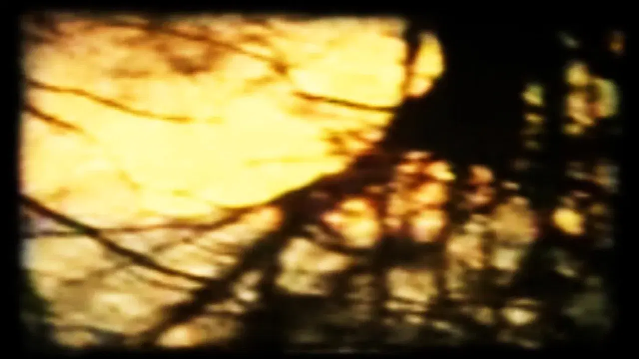 a permanent solution - Proem