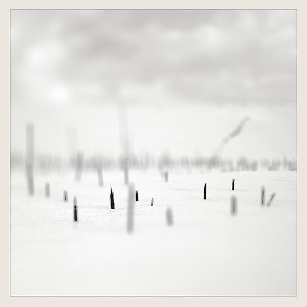 In A Place Of Such Graceful Shapes (Edition) - Taylor Deupree + Marcus Fischer