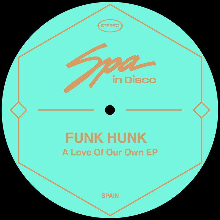 A Love Of Our Own - Funk Hunk