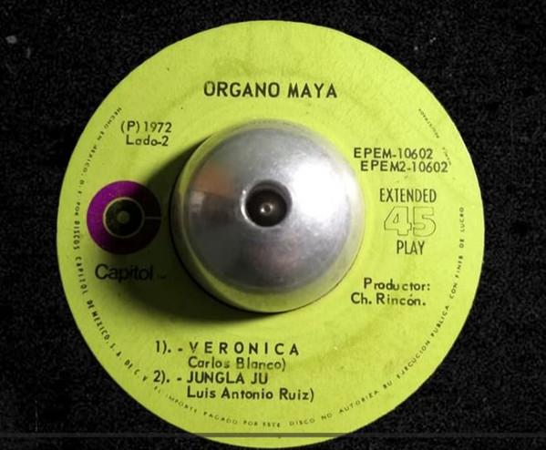 Jungla Ju - Organo Maya