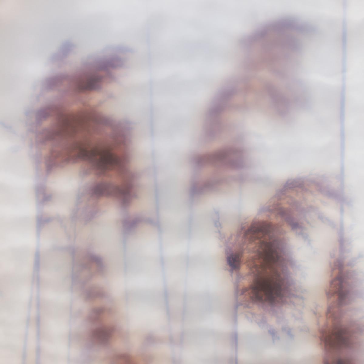 Dream Sequence EP - Ovïd