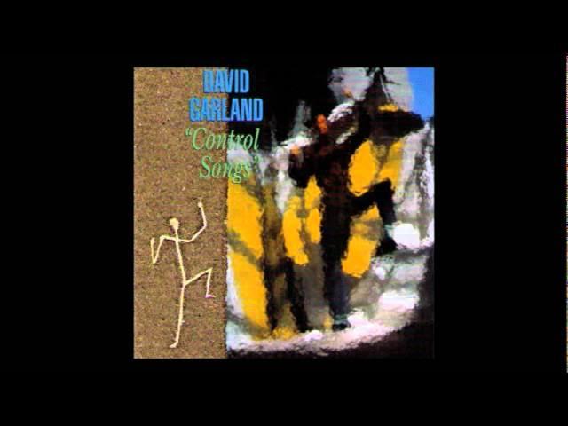 Don't Shoot / I Am With You - David Garland