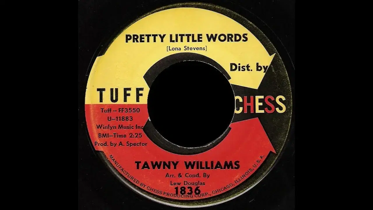 Pretty Little Words - Tawney Williams